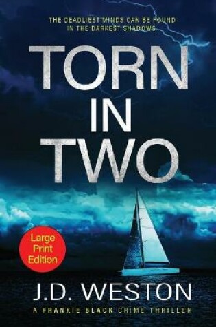 Cover of Torn In Two