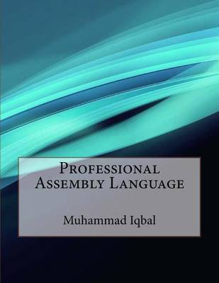 Book cover for Professional Assembly Language