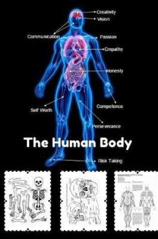 Cover of The Human Body