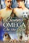 Book cover for Bunny Omega on the Run