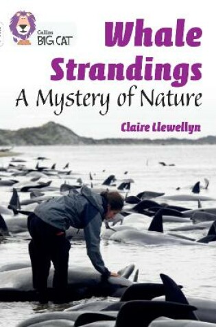 Cover of Whale Strandings: A Mystery of Nature