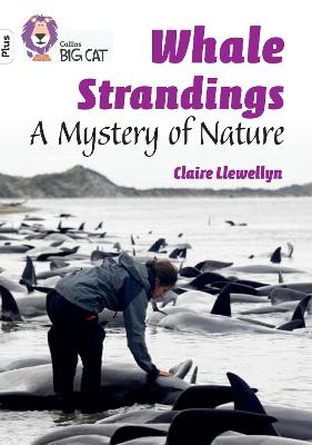 Book cover for Whale Strandings: A Mystery of Nature