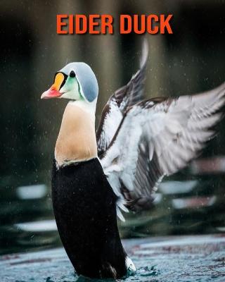 Book cover for Eider Duck