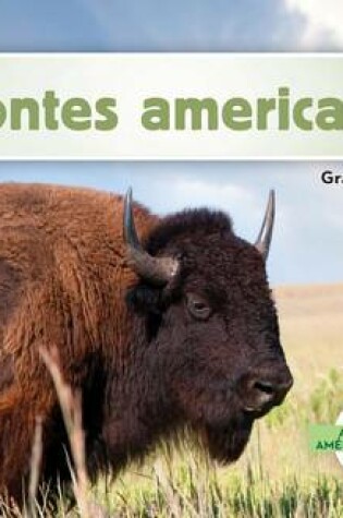 Cover of Bisontes Americanos (American Bison)