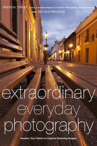 Cover of Extraordinary Everyday Photography