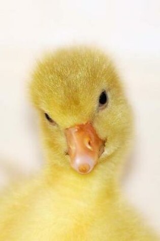 Cover of Such a Sweet Face! Yellow Baby Goose Journal