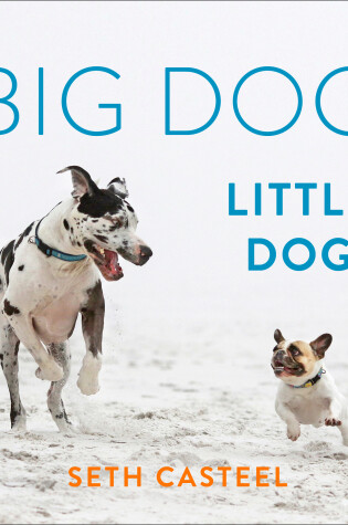 Cover of Big Dog, Little Dog