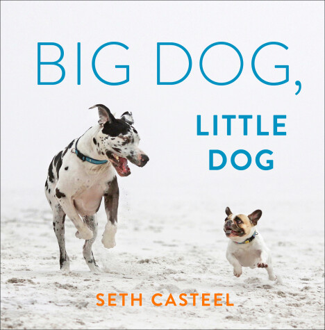 Book cover for Big Dog, Little Dog