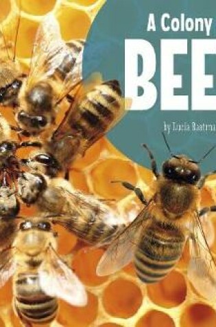 Cover of A Colony of Bees (Animal Groups)