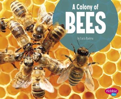 Book cover for A Colony of Bees (Animal Groups)