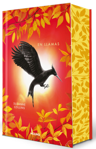 Book cover for En llamas (Edición especial) / Catching Fire