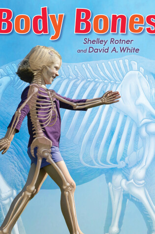 Cover of Body Bones