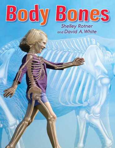 Book cover for Body Bones