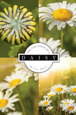 Cover of The Life Cycle of a Daisy