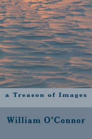 Cover of A Treason of Images