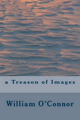 Book cover for A Treason of Images