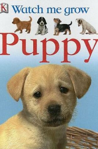 Cover of Puppy