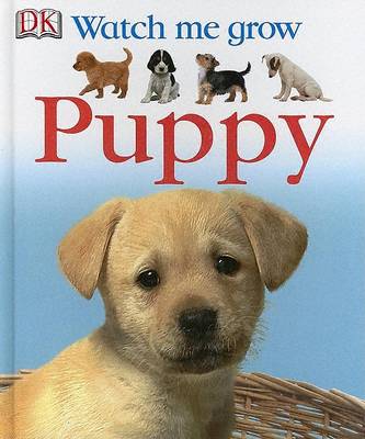 Cover of Puppy