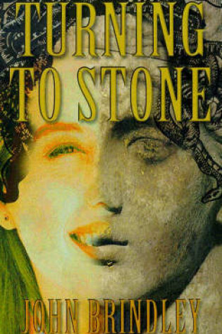 Cover of Turning To Stone