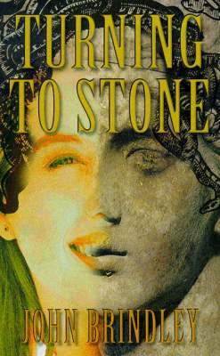 Book cover for Turning To Stone