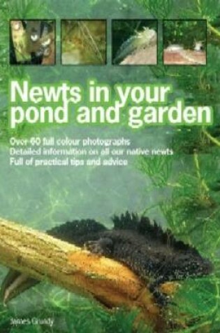 Cover of Newts in Your Pond and Garden