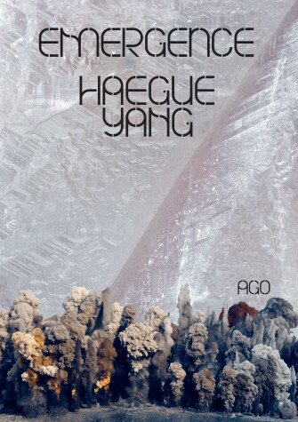 Book cover for Haegue Yang: Emergence