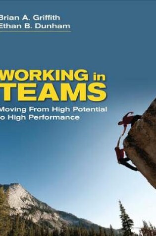 Cover of Working in Teams