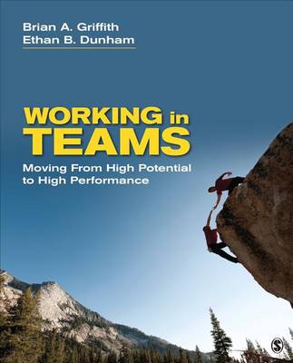 Book cover for Working in Teams