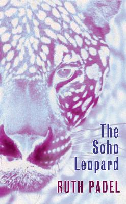 Book cover for The Soho Leopard