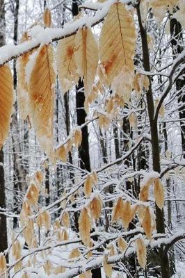 Cover of 2019 Weekly Planner Winter Snowy Forest Branch 134 Pages