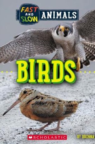 Cover of Birds (Wild World: Fast and Slow Animals)