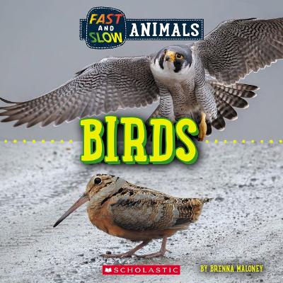 Cover of Birds (Wild World: Fast and Slow Animals)