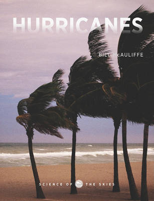 Book cover for Hurricanes