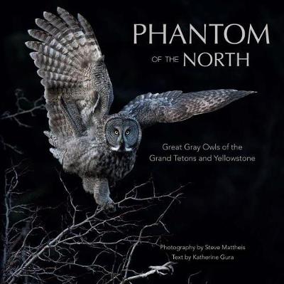 Cover of Phantom of the North