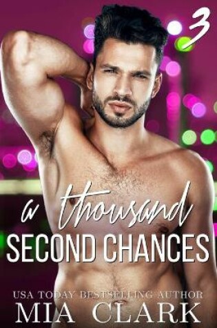 Cover of A Thousand Second Chances 3