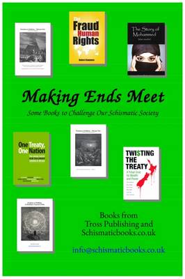 Book cover for Making Ends Meet