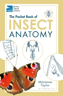 Book cover for The Pocket Book of Insect Anatomy