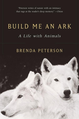 Book cover for Build Me an Ark