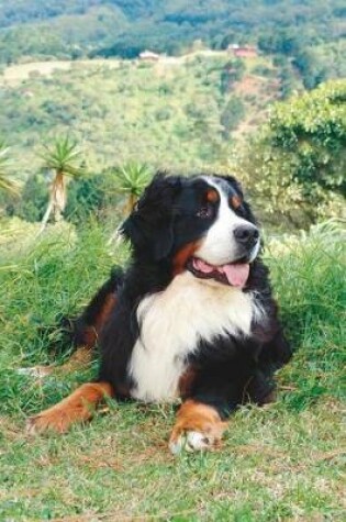 Cover of Bernese Mountain Dog Taking It Easy Journal