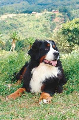 Book cover for Bernese Mountain Dog Taking It Easy Journal