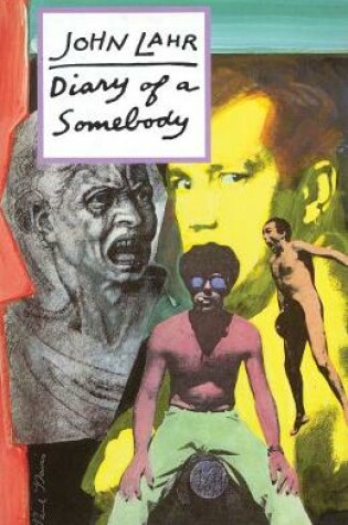 Cover of Diary of a Somebody