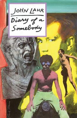 Book cover for Diary of a Somebody