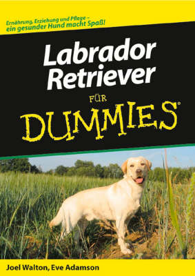 Book cover for Labrador-Retriever Fur Dummies