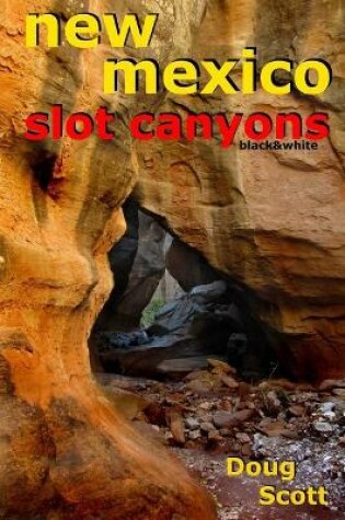 Cover of New Mexico Slot Canyons Black&White