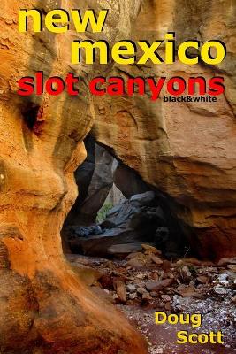 Book cover for New Mexico Slot Canyons Black&White