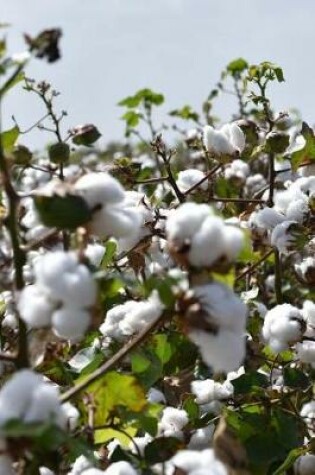 Cover of Alabama Cotton Field Close Up Journal