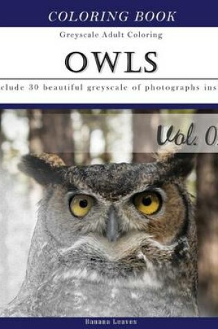 Cover of Owls World