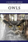 Book cover for Owls World