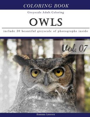 Book cover for Owls World