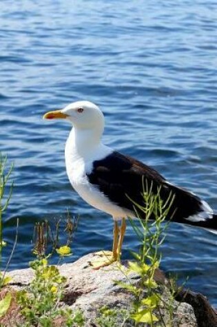 Cover of Lesser Black-Backed Gull Journal (Larus Fuscus)